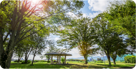 桂川緑地公園