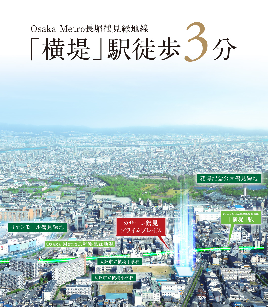 現地周辺航空写真